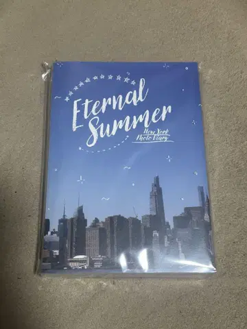 Eternal Summer New York Photo Diary