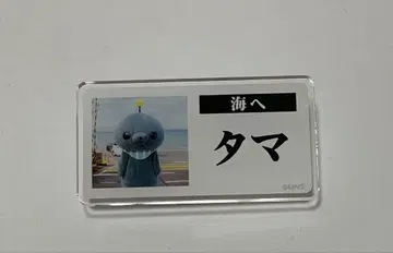 교육 방송 타마 호메호메 카페 트레이딩 명찰풍 배지 타마