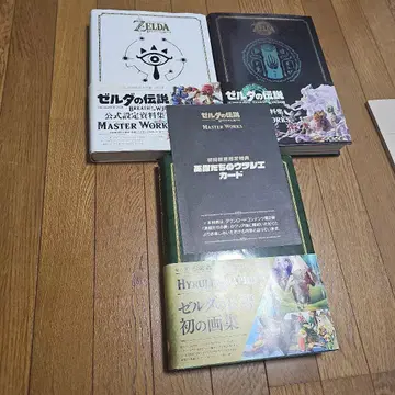 젤다의 전설 티어스 오브 더 킹덤 마스터 웍스