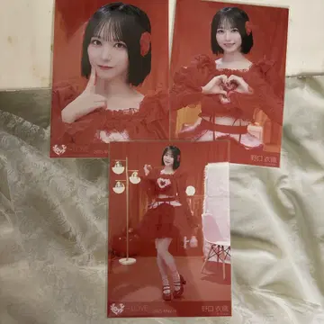노구치 이오리 특별 생사진 컴프