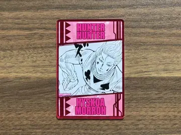 HUNTER x HUNTER 염 능력 카드 컬렉션 히소카