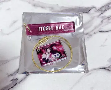블루 록 전시회 아크릴 플레이트 이토시 사에