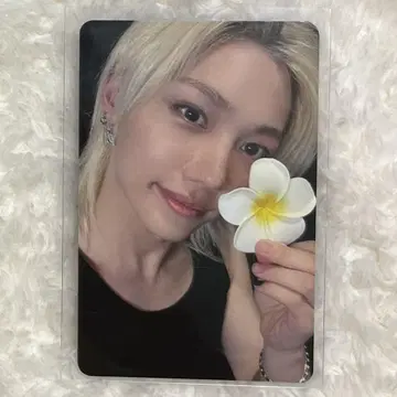 StrayKids KARMA everlie 필릭스 스키즈 점포 혜택