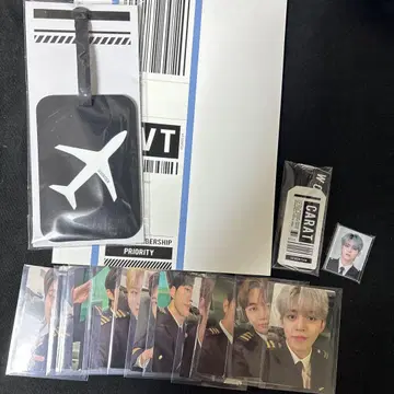 SEVENTEEN 멤버십 트레이딩 카드 증명 사진