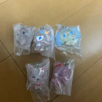 주얼펫 메지루시 액세서리