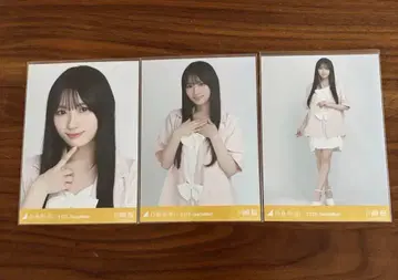 카와사키 사쿠라 썸머 자켓 컴프 브로마이드 사복 진구 도쿄 노기자카46