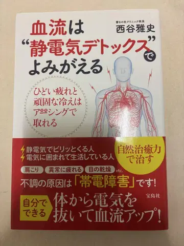 혈류는 '정전기 디톡스'로 되살아납니다