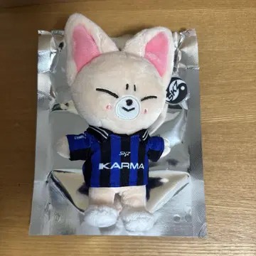 skz KARMA 아이엔 포크시니 I.N skzoo