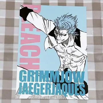 BLEACH 그림죠 재규어 잭 아트 카드 컬렉션