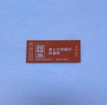초특급 하루 티켓