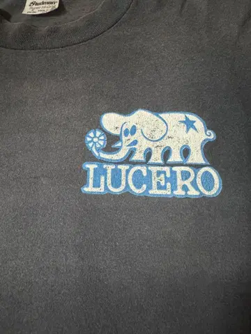 80s John Lucero 존 루세로 santacruz 스케이트