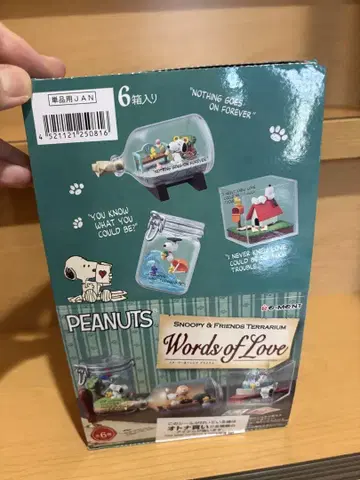 리멘트 스누피&프렌즈 테라리움 Words of Love 3960