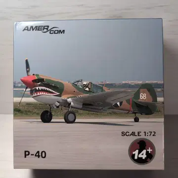 완성품 커티스 P-40 워호크 1:72 스케일 모델 키트