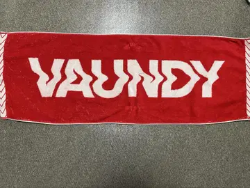 vaundy 빨간색 타월