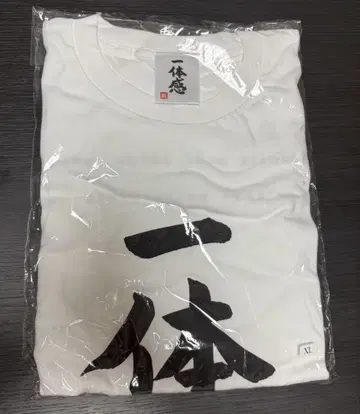 [ 한정 할인 세일 ] 히나타자카46 일체감 T셔츠 XL 사이즈