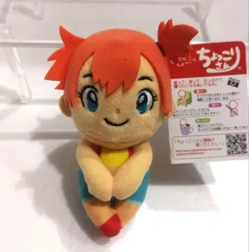 포켓몬 카스미 춋코리상 봉제 인형 2018