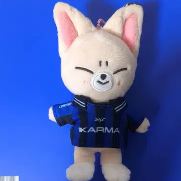 Stray Kids [ KARMA ] skzoo 폭시니 아이엔
