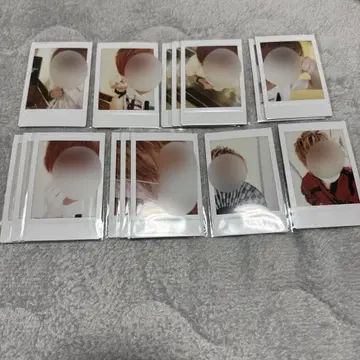 KnightA 기사A KnightX 기사X 바우군 폴라로이드5