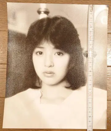 특대형 브로마이드 하마다 아카리