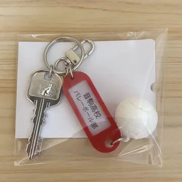 하이큐 트레이딩 고교명 포함 열쇠 참 키링 네코마 고교