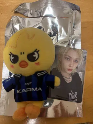 Stray Kids KARMA skzoo ver 포가리