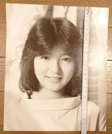 특대형 브로마이드 하마다 아카리