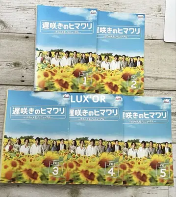 DVD 늦게 피는 해바라기 ~나의 인생, 리뉴얼~ 렌탈 드라마