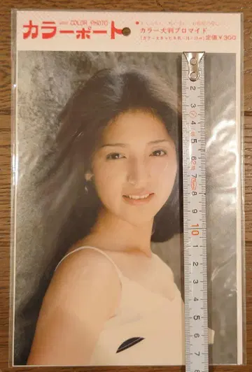 대형 브로마이드 하마다 아카리