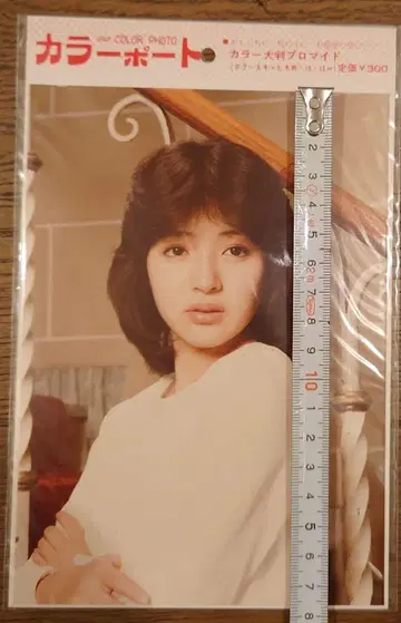 대형 브로마이드 하마다 아카리