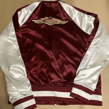 할리데이비슨 스카잔 120주년 모델