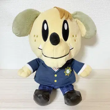 제네견 ALAN GENERATIONS 시라하마 아란