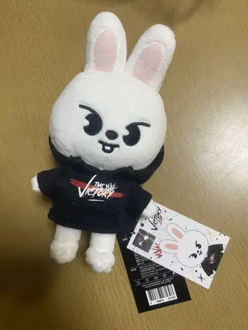 Straykids 스키즈 skzoo mini plush 리비트