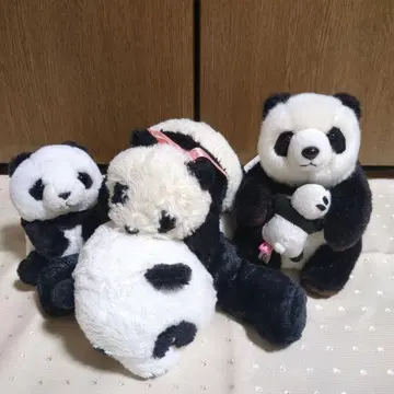 팬더 봉제 인형 묶음 판매 신신 샹샹