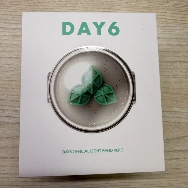 DAY6 공식 응원봉 VER.3