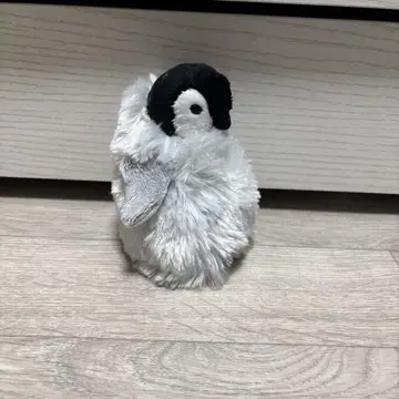펭귄 봉제 인형