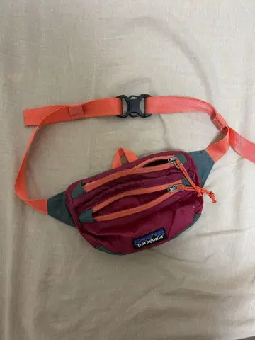 patagonia Terravia Mini Hip Pack 핑크