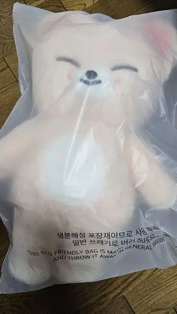 StrayKids SKZOO 테디베어 아이엔 폭시니 FoxINy