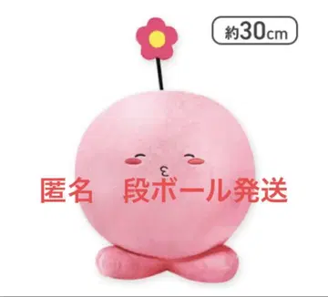 타코피 원죄 타코비 BIG 봉제 인형