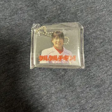 니부 아카리