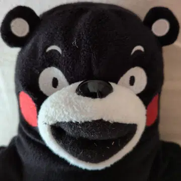 쿠마몬 봉제 인형