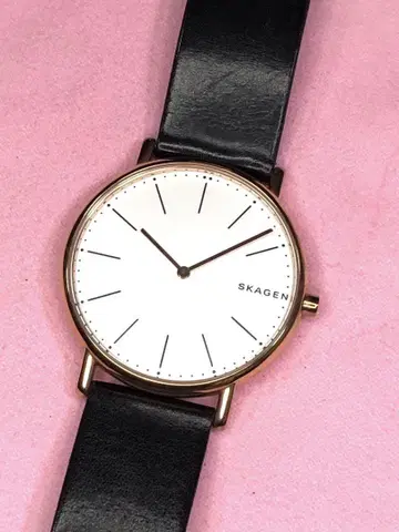 남성용 손목시계 SKAGEN 작동 새 배터리