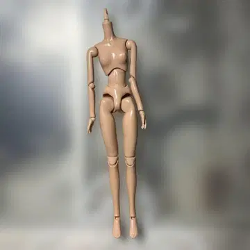 인형 본체