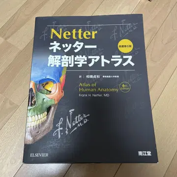 넷터 해부학 아틀라스