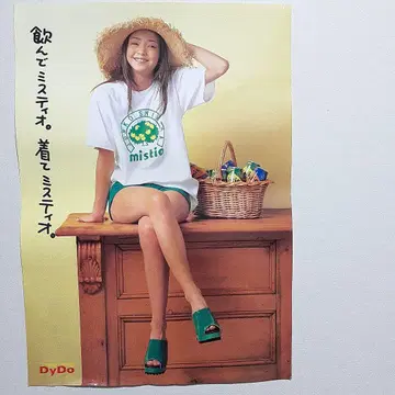 아무로 나미에 포스터 다이도 3장