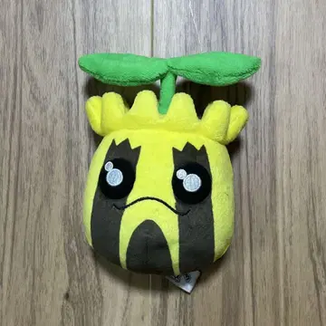 포켓몬 fit 해너츠