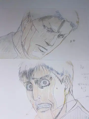 진격의 거인 라이너 벨트 포스트카드