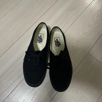 VANS 오센틱