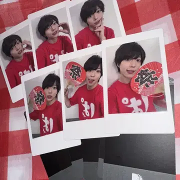 팬더드래곤 파라곤 팟치 하피카