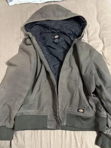 Dickies 액티브 자켓
