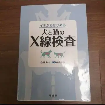 개와 고양이의 X선 초음파 검사